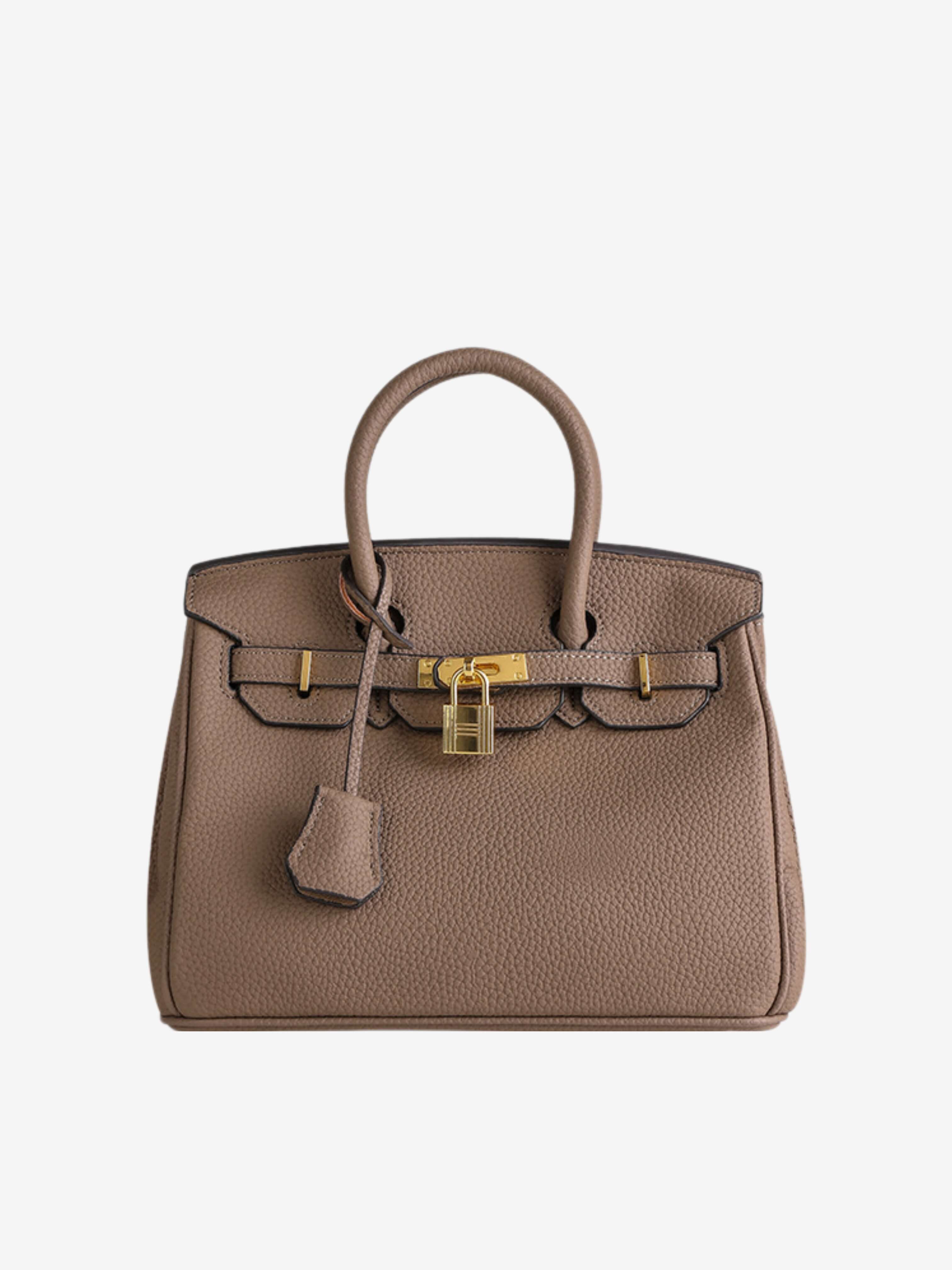 Colette | Structured Petite Lock Bag